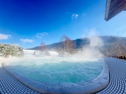 Domaine des oiseaux House in Gérardmer