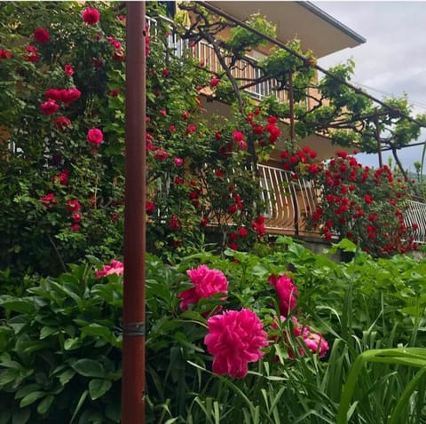 Apartman Perper 2 Trebinje Apartment in Dubrovnik-Neretva County