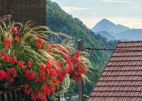 Apartma Bela Apartment in Bled