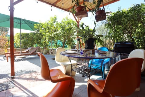 Patio, Garden