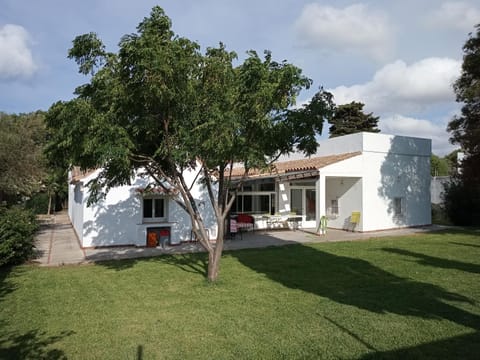Property building, Garden, Garden view