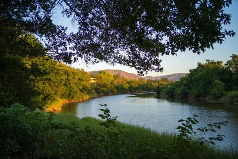 Natural landscape, River view