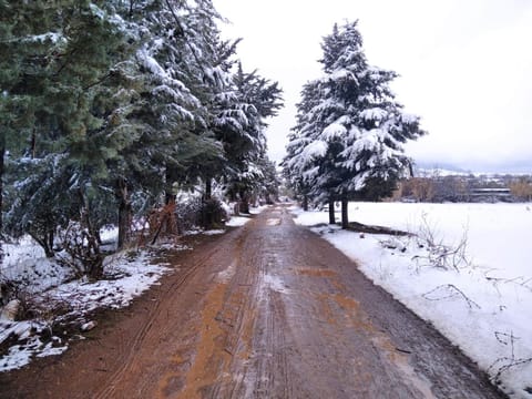 Day, Natural landscape, Winter
