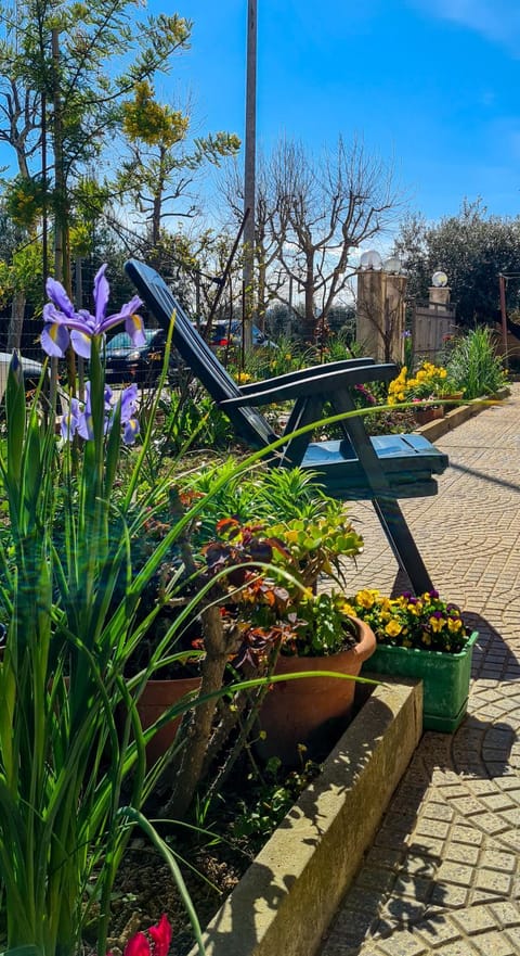 Garden, Garden view
