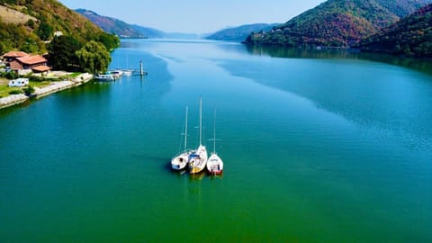 Dunavska Vila Milosavljevic Apartment in Serbia