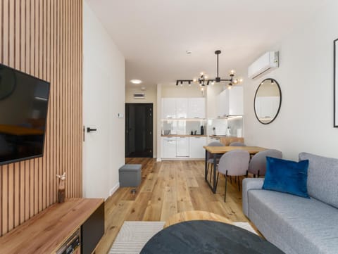 Kitchen or kitchenette, Living room, stove