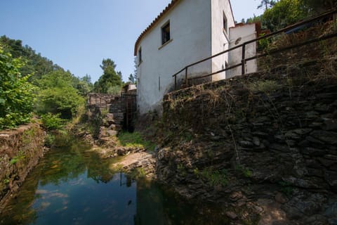 Natural landscape