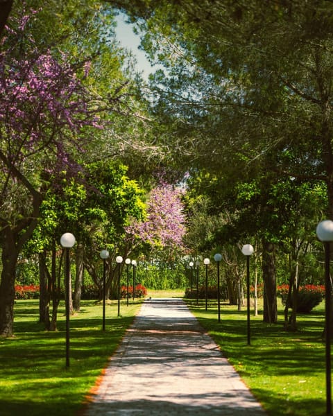 Spring, Day, Natural landscape, Garden, Garden view