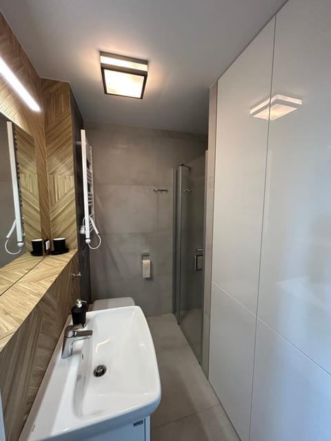 Shower, Toilet, Bathroom, washing machine