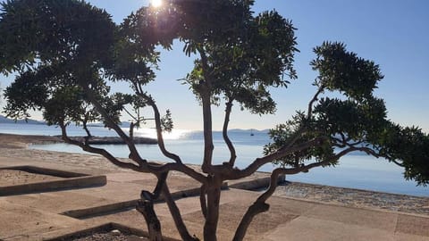 Apartmani Tatiana Pakoštane Apartment in Šibenik-Knin County, Croatia