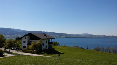Spring, Off site, Day, Lake view