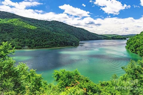 Jackson River Estate Main House Pool, Riverfront, sleeps 15 House in Shenandoah Valley