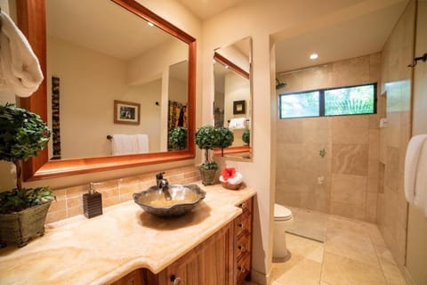 Wailea Ekahi 32B · WEK 32B Remodeled Wailea Getaway w AC Pool House in Wailea