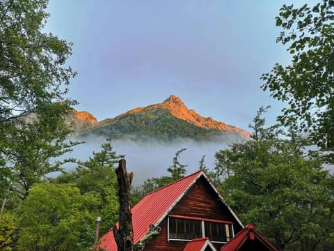 Day, Garden, Mountain view