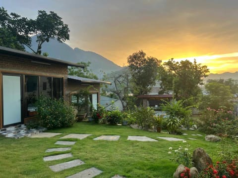 Garden, Garden view, Garden view