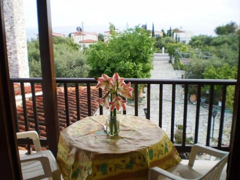 Garden, Balcony/Terrace