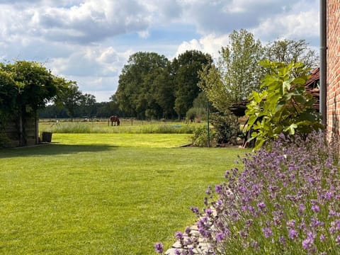 Garden, Garden view