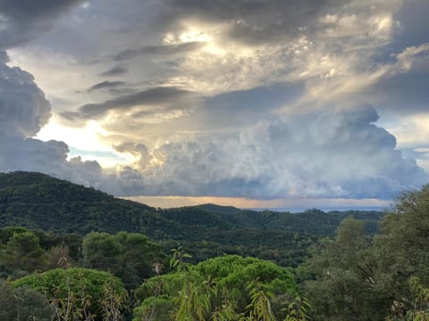 Mountain view, Sea view