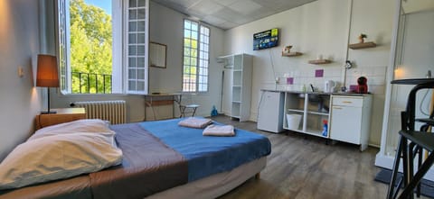 Shower, TV and multimedia, Coffee/tea facilities, Photo of the whole room, Bedroom