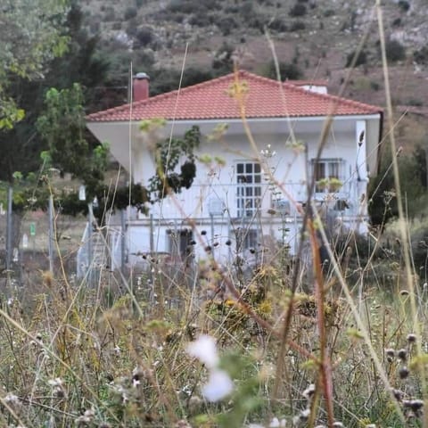 Natural landscape