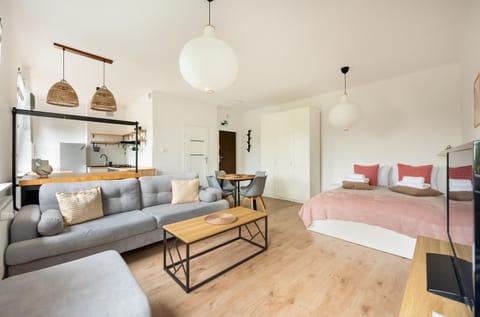 Bed, TV and multimedia, Kitchen or kitchenette, Living room, Photo of the whole room, Seating area, Dining area, Bedroom