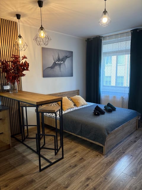 Apartament Kozigród Apartment in Pomeranian Voivodeship