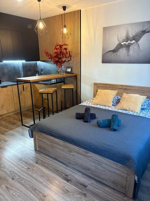 Apartament Kozigród Apartment in Pomeranian Voivodeship