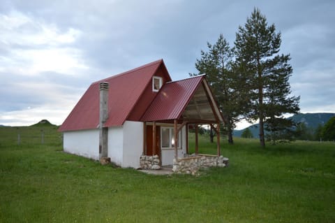 Forest apartmani House in Montenegro