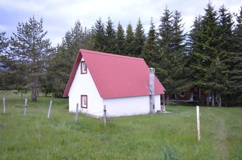 Forest apartmani House in Montenegro