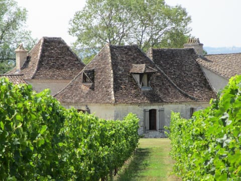 Property building, Garden view