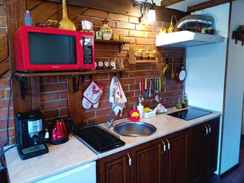 Coffee/tea facilities, minibar, stove, kitchen