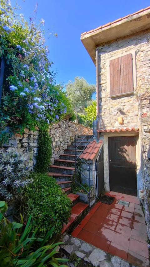 Property building, Facade/entrance, Garden view