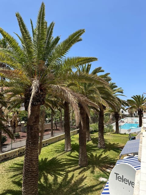 Garden view, Pool view, Swimming pool