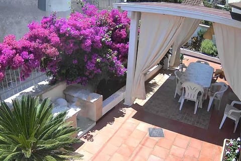 Patio, Garden, Dining area