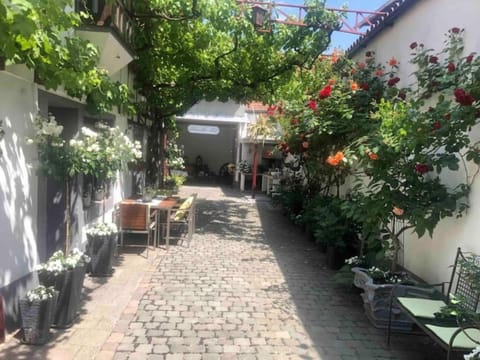 Patio, Garden