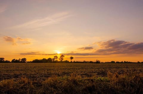 View (from property/room), Sunrise