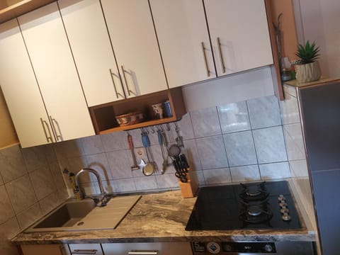 Vila Vida Apartment in Makarska