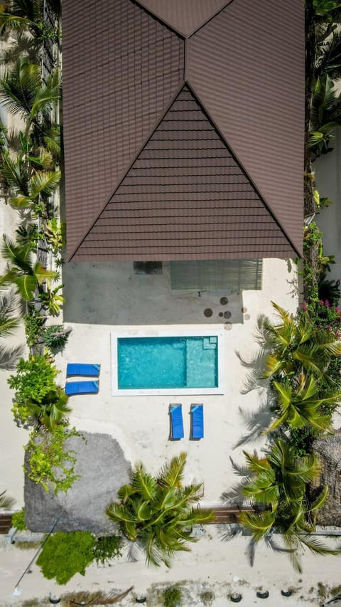 Property building, Garden, Garden view, Pool view, Swimming pool