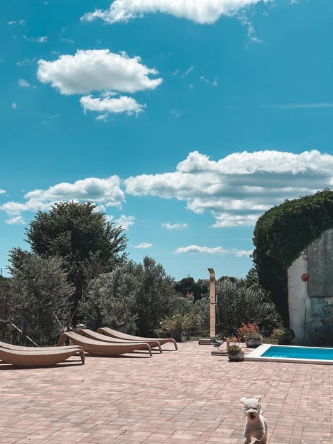 Pool view, Swimming pool, sunbed