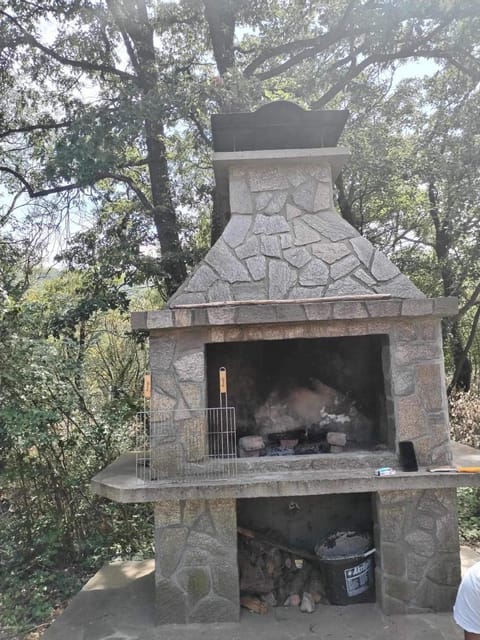 Vila Vera Villa in Vojvodina