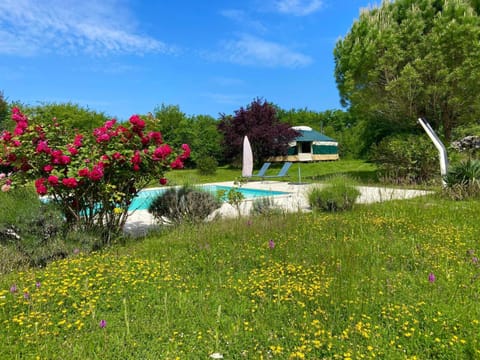 Spring, Day, Garden, Garden view, Pool view, Swimming pool, sunbed