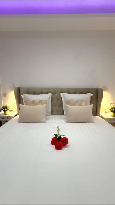 Sublime appartement Calme Cosy & Jacuzzi Apartment in Brussels