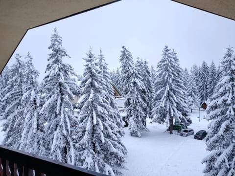Natural landscape, Winter, Balcony/Terrace