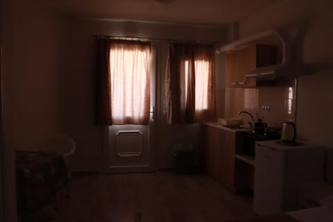 Kitchen or kitchenette, minibar, pet friendly, stove