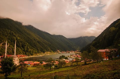 Natural landscape, Lake view