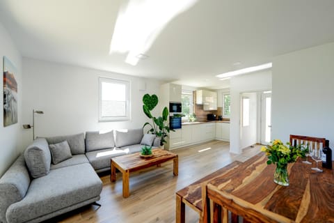 Kitchen or kitchenette, Living room, Seating area, Dining area, stove