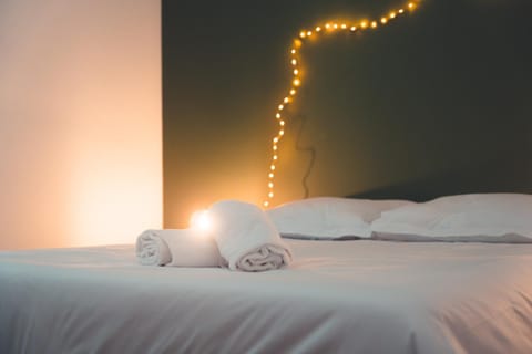 Le Chenin T2 pour 4 personnes Apartment in Tours