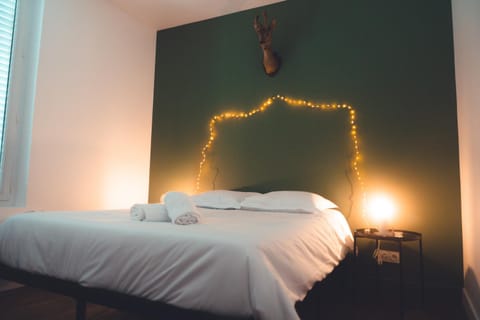 Le Chenin T2 pour 4 personnes Apartment in Tours