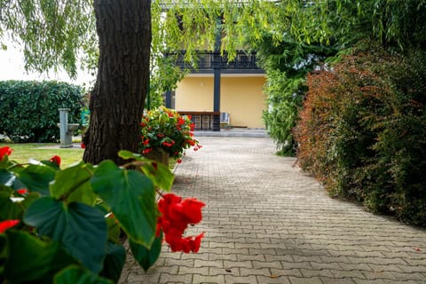 Property building, Garden view