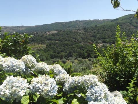 Spring, Off site, Day, Natural landscape, Garden, Mountain view